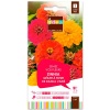 grainesfleurs/3052350756660-ZINNIA-GEANT-A-FLEUR-DE-DAHLIA-VARIE-S2-JDEA