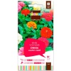 grainesfleurs/3052350756677-ZINNIA-LILLIPUT-VARIE-S2-JDEA