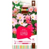 grainesfleurs/3052350759531-COSMOS-VEGA-VARIE-S3-JDEA